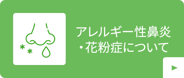 アレルギー性鼻炎・花粉症について|詳しくはこちら